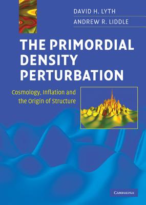 The Primordial Density Perturbation