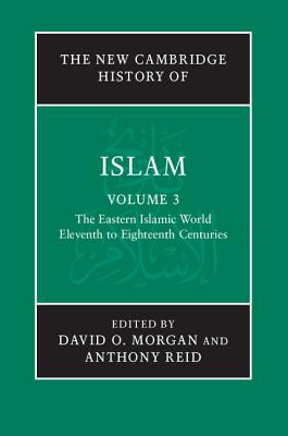 The New Cambridge History of Islam