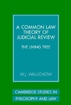 A Common Law Theory of Judicial Review