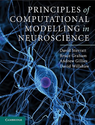 Principles of Computational Modelling in Neuroscience