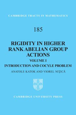 Rigidity in Higher Rank Abelian Group Actions: Volume 1, Introduction and Cocycle Problem
