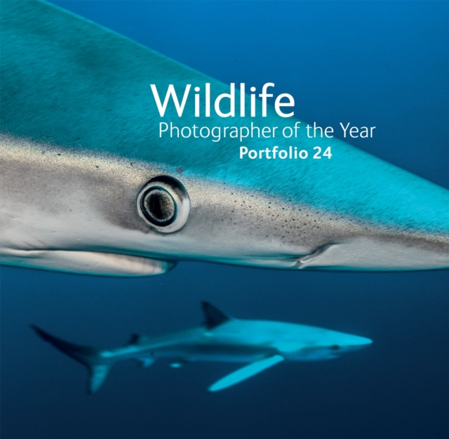 Wildlife Photographer of the Year