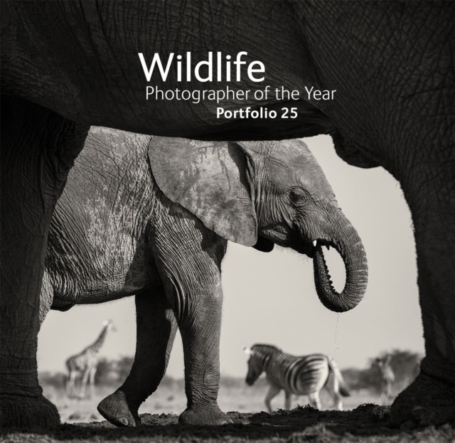 Wildlife Photographer of the Year: Portfolio 25