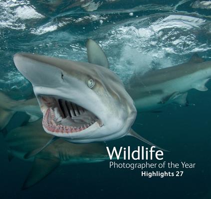 Wildlife Photographer of the Year: Highlights