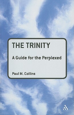 The Trinity: A Guide for the Perplexed