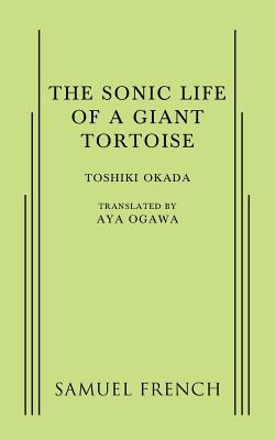 A Sonic Life of a Giant Tortoise