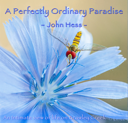 A Perfectly Ordinary Paradise