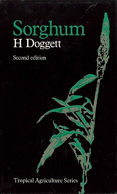 Sorghum