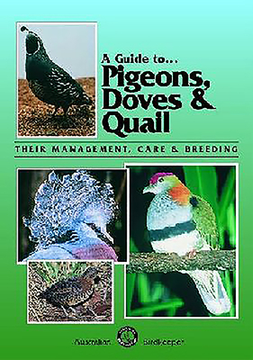 Pigeons, Doves and Quail