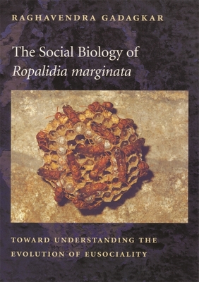 The Social Biology of Ropalidia marginata