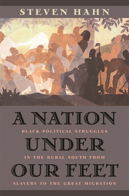 A Nation Under Our Feet – Black Political Struggles in the Rural South from Slavery to the Great Migration