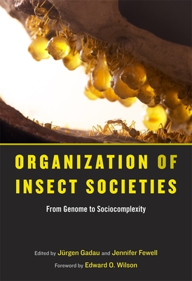 Organization of Insect Societies