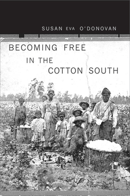 Becoming Free in the Cotton South