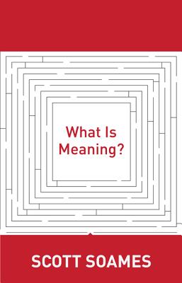 What Is Meaning?