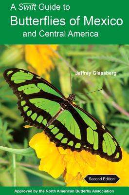 A Swift Guide to Butterflies of Mexico and Central America