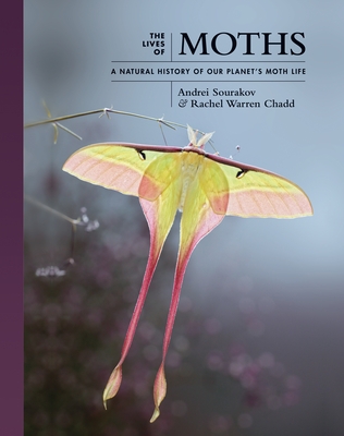 The Lives of Moths