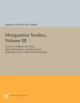 Morgantina Studies, Volume III