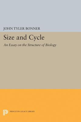 Size and Cycle