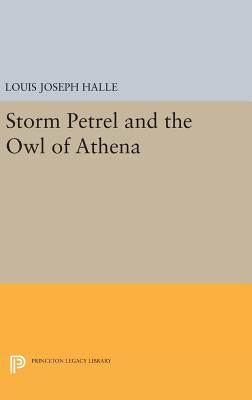 Storm Petrel and the Owl of Athena