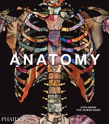 Anatomy