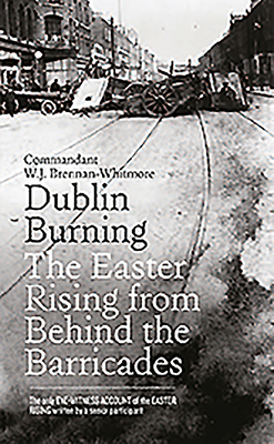 Dublin Burning