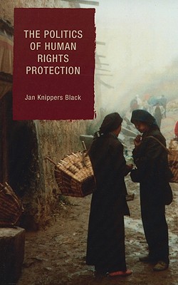Politics of Human Rights Protection