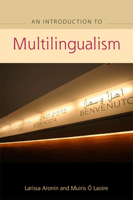 An Advanced Guide to Multilingualism