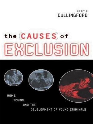 The Causes of Exclusion