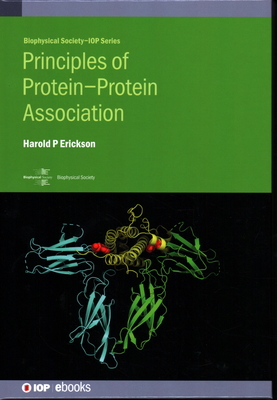 Principles of Protein-Protein Association