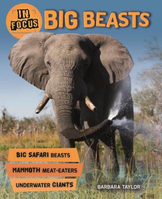 In Focus Big Beasts