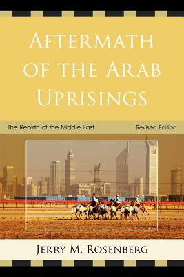 Aftermath of the Arab Uprisings