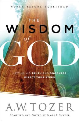 The Wisdom of God - Letting His Truth and Goodness Direct Your Steps