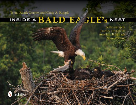 Inside a Bald Eagle's Nest