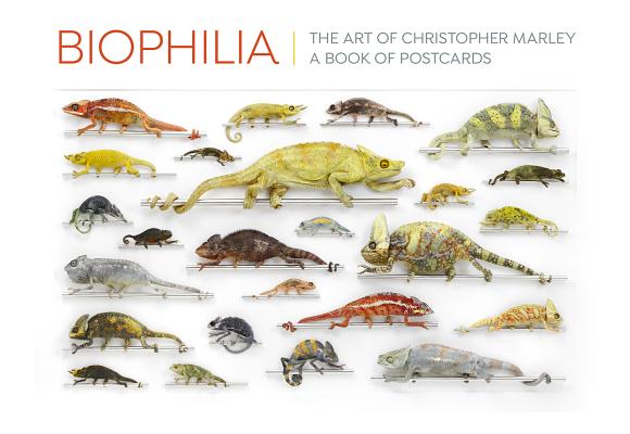 Biophilia the Art of Christopher Marley