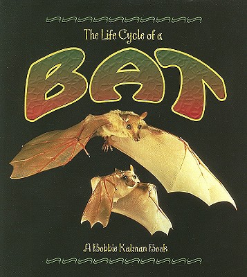The Life Cycle of the Bat