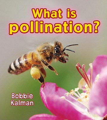 What is pollination?