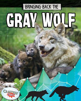 Gray Wolf