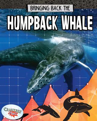 Humpback Whale