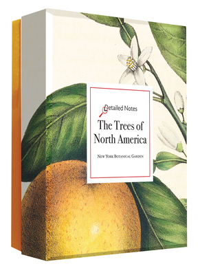 The Trees of North America Detailed Notecard Set