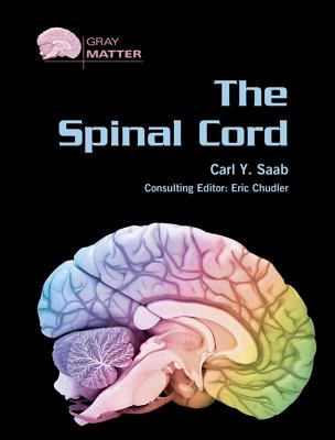 The Spinal Cord