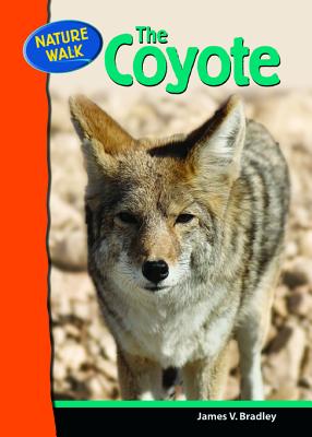 The Coyote