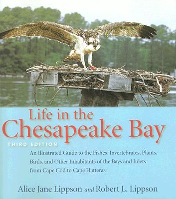 Life in the Chesapeake Bay