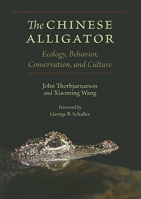 The Chinese Alligator