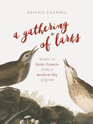 Gathering of Larks