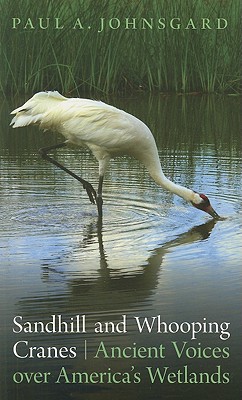 Sandhill and Whooping Cranes