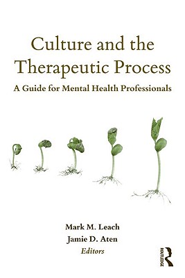 Culture and the Therapeutic Process