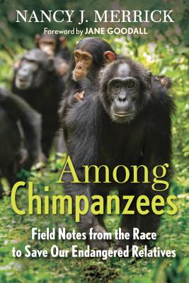 Among Chimpanzees