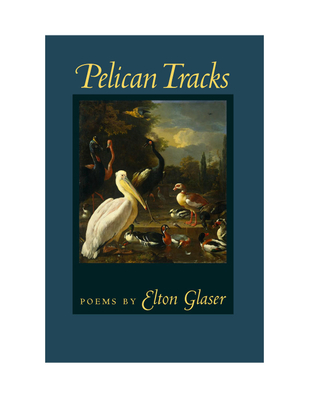 Pelican Tracks