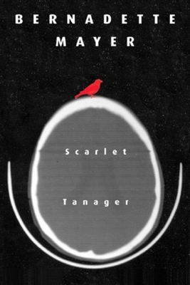 Scarlett Tanager – Poetry