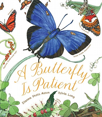 Butterfly Is Patient